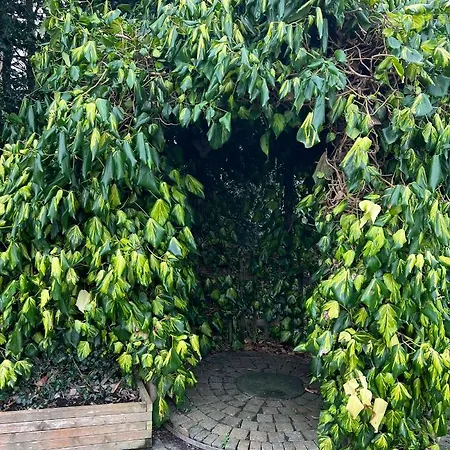 Casa de Férias Zeelucht Texel De Koog (Texel)