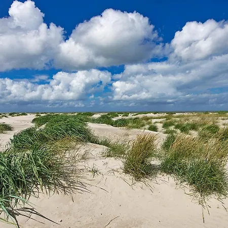 Zeelucht Texel *