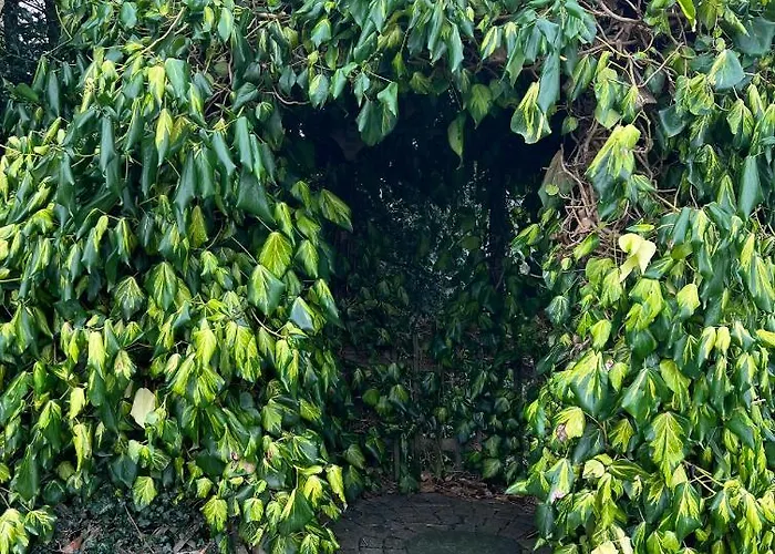 Дом отдыха Zeelucht Texel Де-Коог