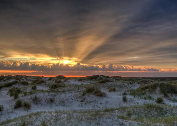 Zeelucht Texel בית נופש דה קוח
